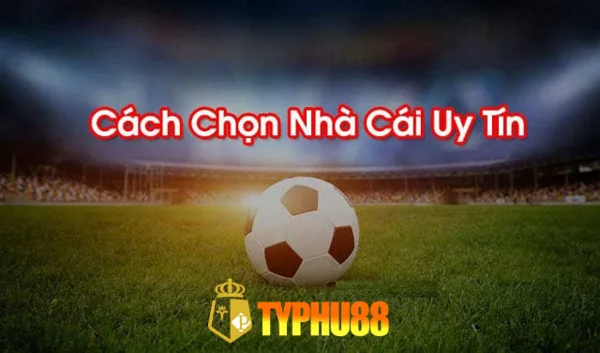 Đánh giá Typhu88 mùa Euro2021 có an toàn