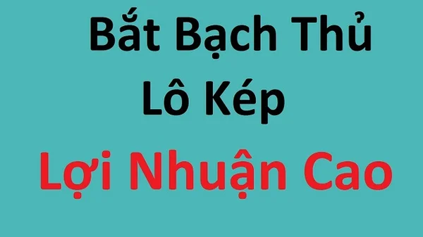 image1 16 - Bạch thủ lô kép tỷ lệ sinh lời cao, lợi nhuận hấp dẫn| TYPHU88