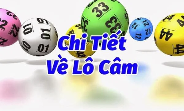 image1 27 - Đầu 5 câm là gì? Phương pháp chọn cầu đầu 5 câm đúng chuẩn