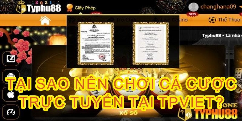 Tpviet có những ưu điểm gì khiến cược thủ lựa chọn? - Typhu88