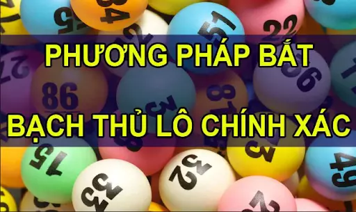 lh3Og53gpv - Bạch thủ lô là gì? Chia sẻ phương pháp đánh bắt bạch thủ lô chính xác nhất