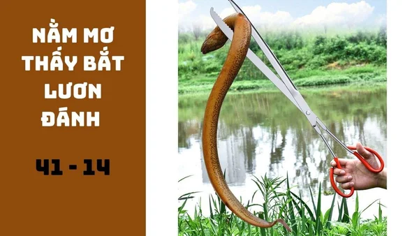 Giấc mơ thấy lươn có nhiều ý nghĩa khác nhau