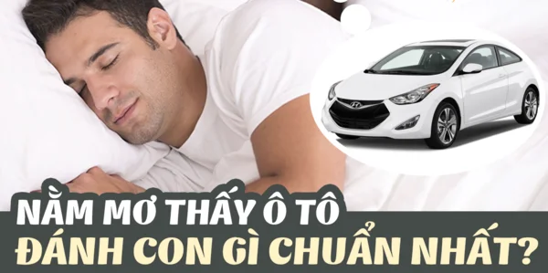 Diễn biến quyết định chọn mơ lái ô tô đánh con gì cụ thể