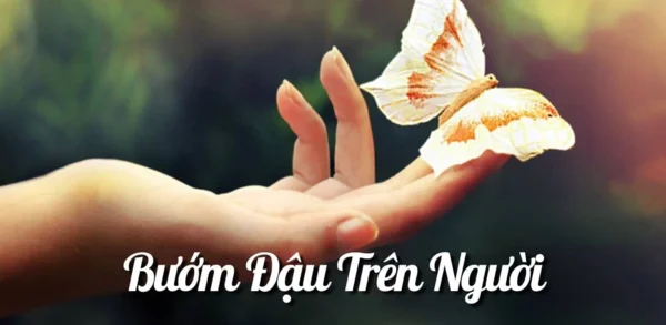 image4 - Bướm đậu vào người đánh số mấy? Ý nghĩa của giấc mơ