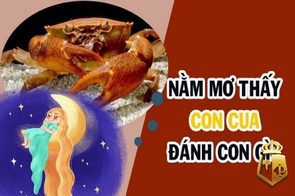 NVbbUF3WHJ - Số đề con cua bao nhiêu? Cùng typhu88.me tìm hiểu