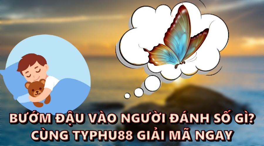 Bướm đậu vào người đánh số gì? Cùng Typhu88 giải mã ngay