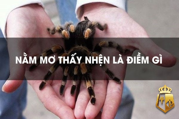 mo thay nhen 1RATw - Con nhện số đề số mấy? Đánh con đề số mấy thì chuẩn 100%