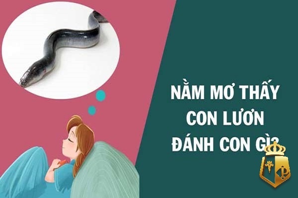 Mơ thấy bắt lươn đánh con gì? 9 giấc mơ phổ biến