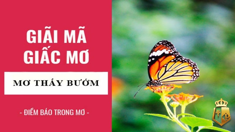 con buom so may danh lo de voi nha cai typhu88 la trung 3 - Con buom so may đánh lô đề với nhà cái typhu88 là trúng