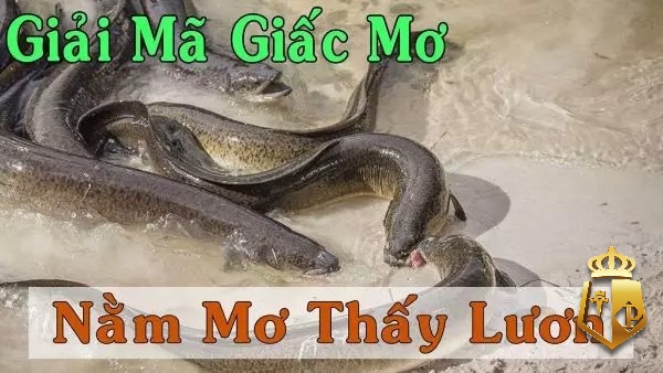 con luon so may 14DfJ - Con lươn số mấy - Tìm hiểu con số may mắn cùng typhu88