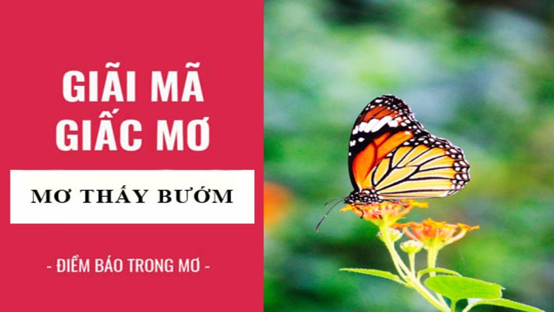 Con buom so may đánh lô đề với nhà cái typhu88 là trúng