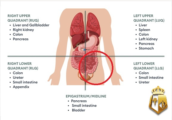 dau bung duoi ben trai la bi benh gi cung typhu88 tim hieu 3 - Đau bụng dưới bên trái là bị bệnh gì? Cùng Typhu88 tìm hiểu