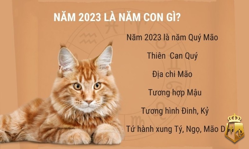 nam 2023 la nam con gi menh gi co nen sinh con khong1 - Năm 2023 là năm con gì, mệnh gì, có nên sinh con không?