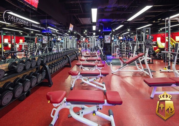 phong gym gan day danh sach 5 phong gym tot nhat - Phòng Gym gần đây: Danh sách 5 phòng gym tốt nhất