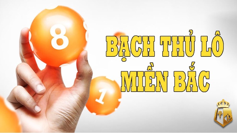 dien dan bach thu lo mien bac chia se cach bat lo 2023 - Dien dan bach thu lo mien bac chia sẻ cách bắt lô 2023