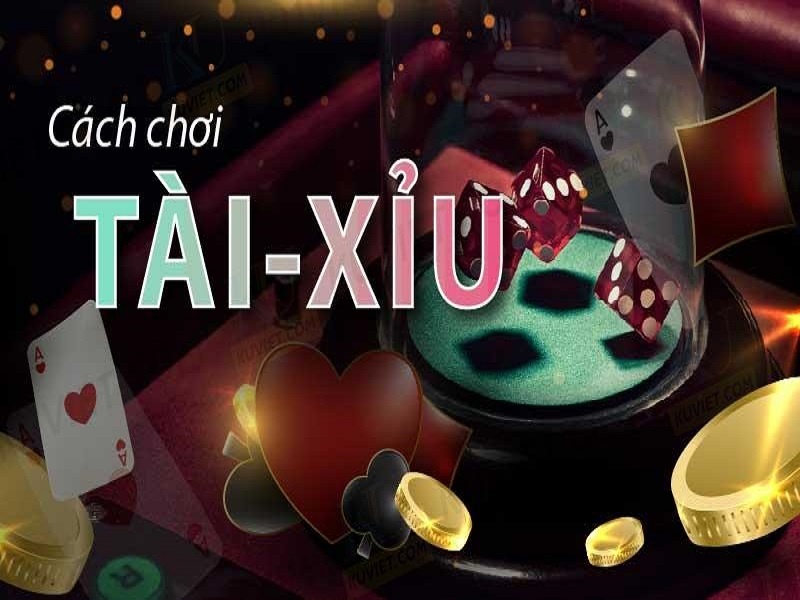 Ti le tai xiu | Hướng dẫn 9 cách đọc tỉ lệ Tài Xỉu chuẩn xác nhất