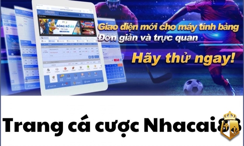 nha cai 88 net kham pha san choi cuc chay cung typhu88 2 - Nha cai 88. net - Khám phá sân chơi cực cháy cùng typhu88