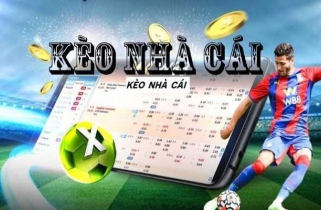 Ty ca cuoc nha cai: Cách chơi và những chiến lược hay nhất  