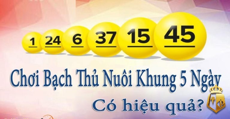 cach bat bach thu lo khung 5 ngay bi quyet de thanh cong 3 - Cách bắt bạch thủ lô khung 5 ngày - Bí quyết để thành công