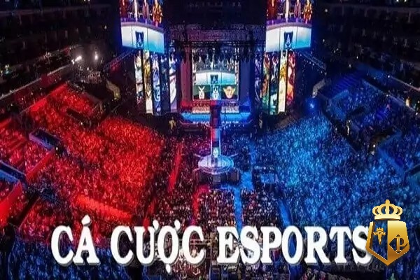 cuoc esport tai typhu88 sanh esport uy tin nhat thi truong - Cược Esport tại Typhu88 - Sảnh Esport uy tín nhất thị trường