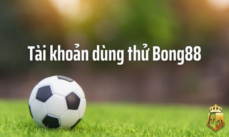 tk bong 88 kham pha the gioi ca cuoc voi tai khoan bong88 2 - Tk Bóng 88 - Khám phá thế giới cá cược với tài khoản Bong88