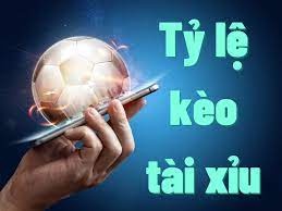 Tỉ lệ tài xỉu là gì? Các loại cược tài xỉu bóng đá phổ biến