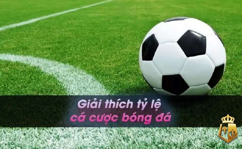 ti le ca cuoc la nhu the nao cach soi keo bong da hieu qua - Tỉ lệ cá cươc là như thế nào? Cách soi kèo bóng đá hiệu quả