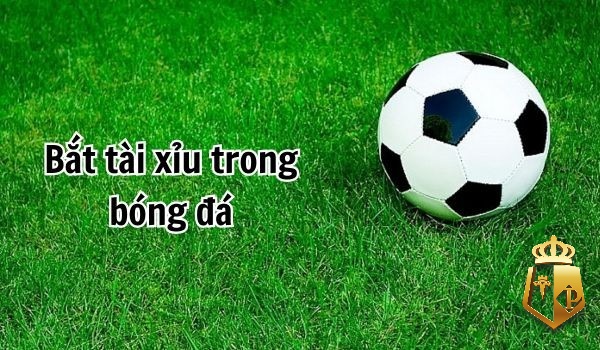 bat tai xiu bong da thanh cong voi 3 kinh nghiem sieu chuan xac - Bắt tài xỉu bóng đá thành công với 3 kinh nghiệm siêu chuẩn xác