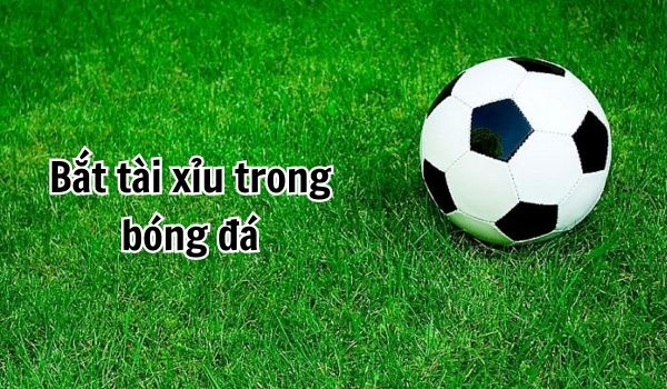 Bắt tài xỉu bóng đá thành công với 3 kinh nghiệm siêu chuẩn xác