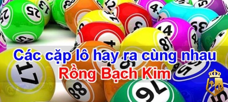 cac cap lo hay di cung nhau rong bach kim la gi giai dap - Các cặp lô hay đi cùng nhau rong bach kim là gì? Giải đáp