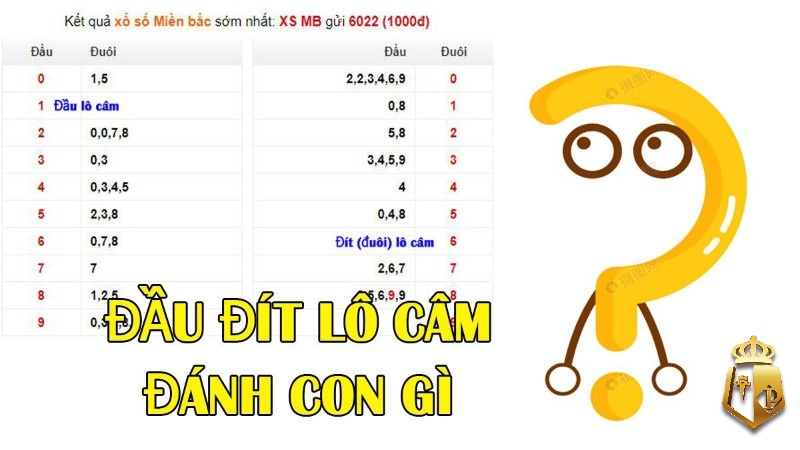 cau lo vip 888 phuong phap soi cau lo chat luong 31 - Cau lo vip 888: Phương pháp soi cầu lô chất lượng