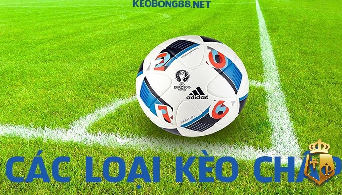 ty le keo 88com co nhung the loai keo nao cung giai dap - Tỷ lệ kèo 88.com có những thể loại kèo nào? Cùng giải đáp