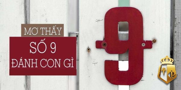 mo thay so 9 danh con gi de thang voi ty le chinh xac cao - Mơ thấy số 9 đánh con gì để thắng với tỷ lệ chính xác cao