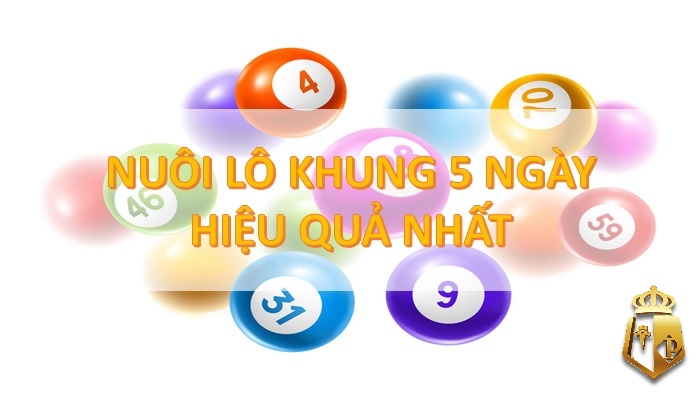 nuoi lo khung la gi huong dan cach nuoi lo khung hieu qua 4 - Nuôi lô khung là gì? Hướng dẫn cách nuôi lô khung hiệu quả