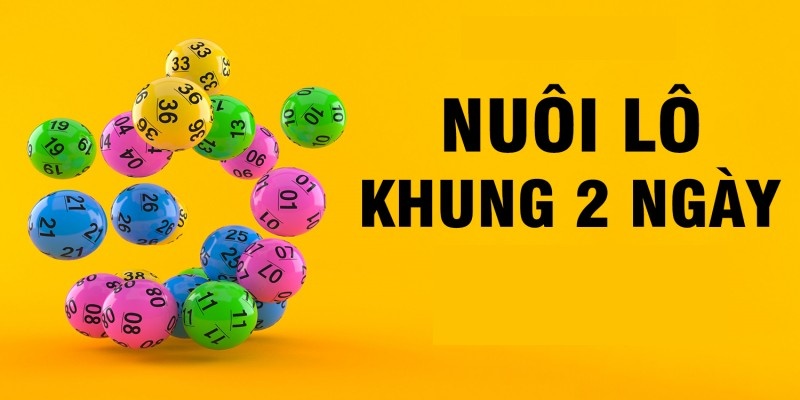 Lô khung 2 ngày chuẩn: Hướng dẫn cách nuôi lô bất bại