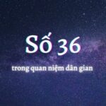 Mơ thấy số 36 đánh con gì hiệu quả cho khả năng thắng lớn