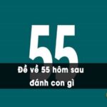 Đề về 55 đánh lô gì? Giải mã ý nghĩa con số 55 trong lô đề