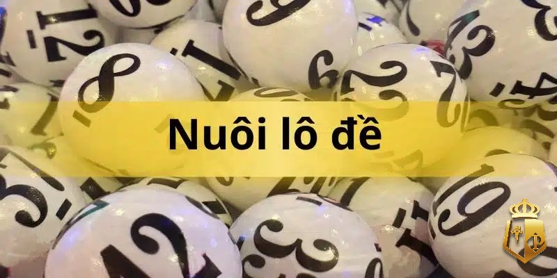 nuoi lo 1 2 3 5 7 ngay chuan bi quyet giup anh em thang lon - Nuôi lô 1, 2, 3, 5, 7 ngày như thế nào?? Bí quyết nuôi lô